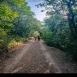 Imagen de Maravillosa estancia