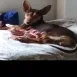 Imagen de Desconexión de la ciudad, poder respirar