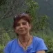Imagen de Flor
