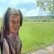 Imagen de Fundación Apadrina Un Árbol