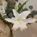Imagen de Pilar