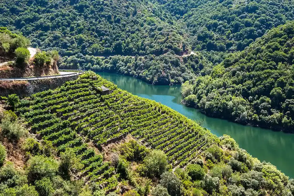 Imagen de Escapada a Galicia