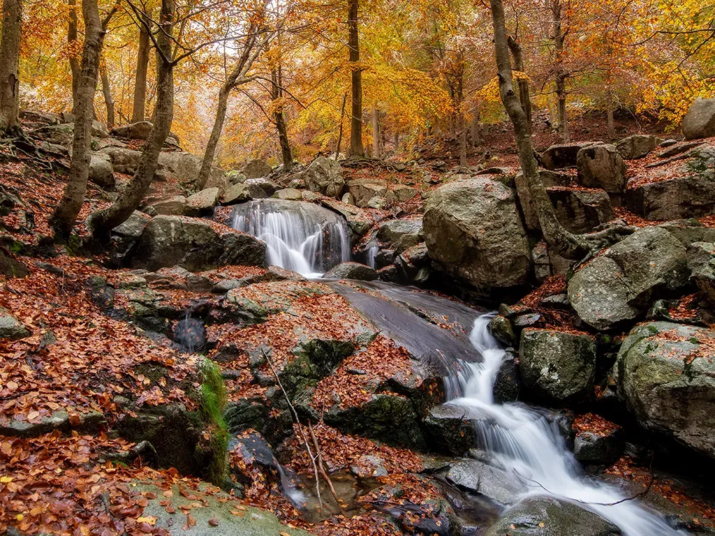 Imagen de Rutas de otoño