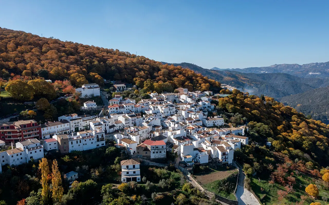 Imagen de Vive el otoño más auténtico en la Costa del Sol