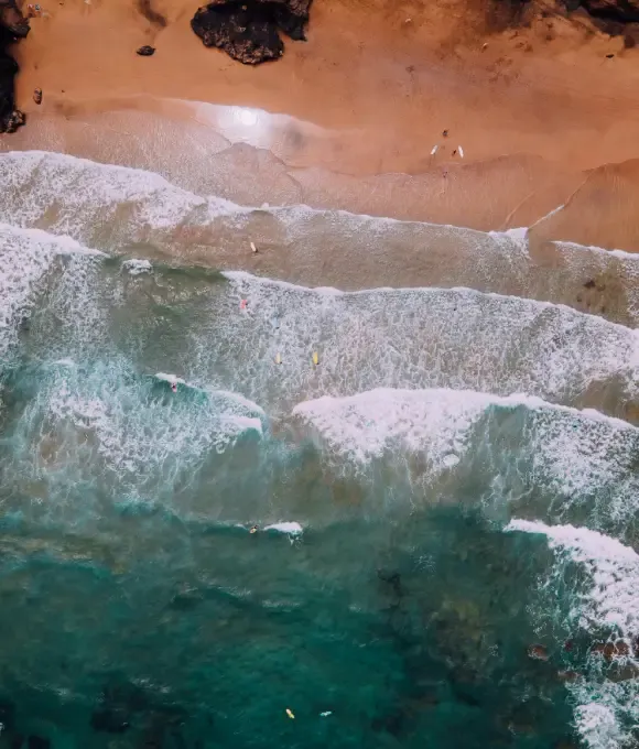 Imagen de Fuerteventura