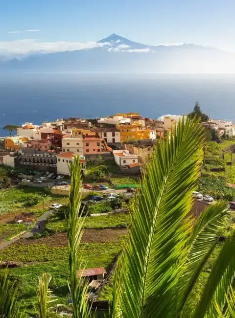Imagen de Islas Canarias
