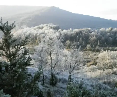 Imagen de Parque de Izki