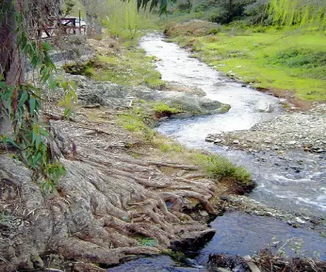 Imagen de Sierra de Huelva