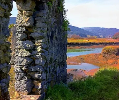 Imagen de Urdaibai