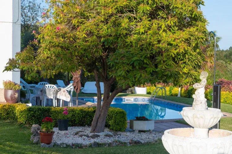 Imagen de Piscina