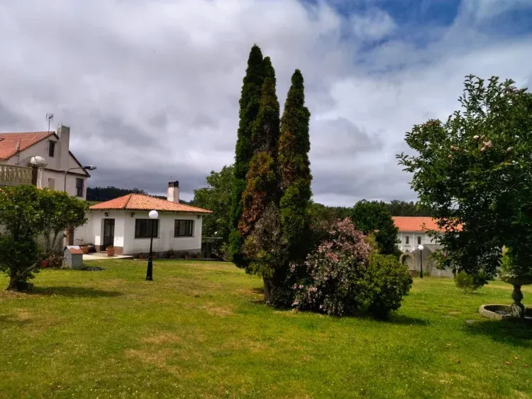 Imagen de Jadín