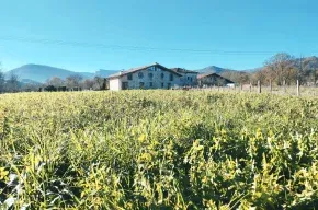 Imagen de Casa Rural Aldamoli Landetxea 