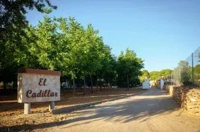Imagen de El Cadillar