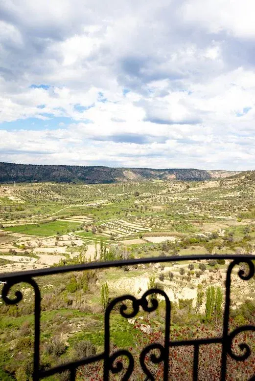 Imagen de El paisaje desde la casa