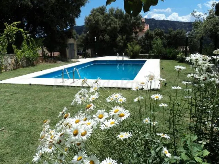 Imagen de Piscina