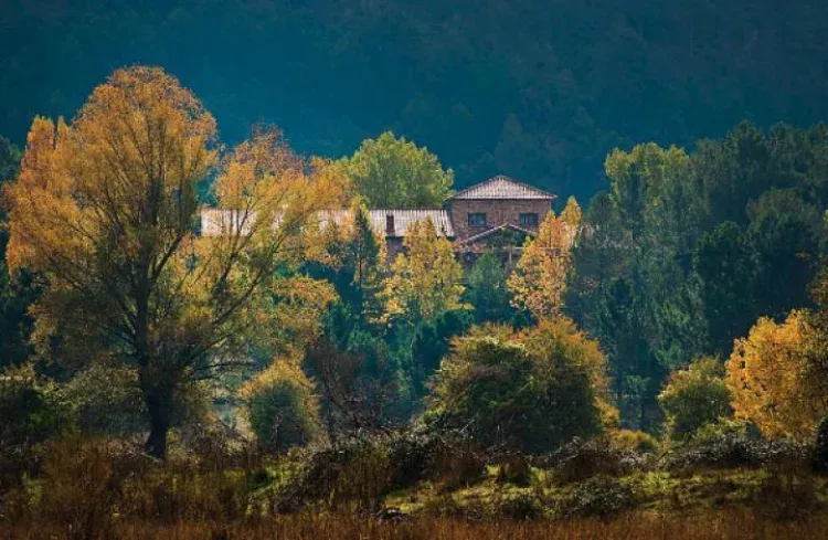 Imagen de El Hotel en otoño