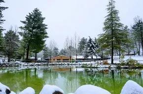 Imagen de Finca Zafiro Lagunazo