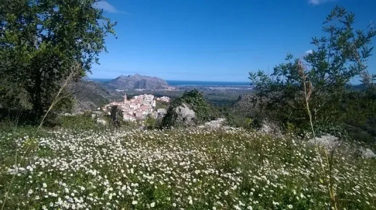 Imagen de Nuestras vistas