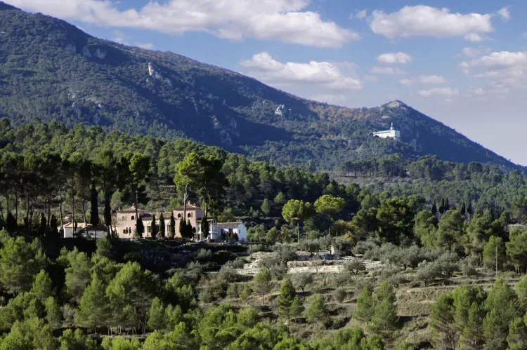 Imagen de Entorno natural Masia La Mota