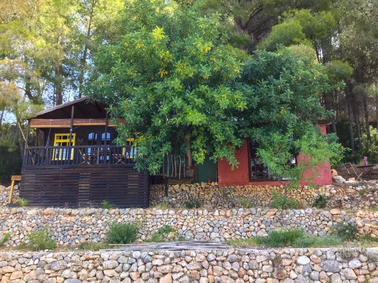 Imagen de la casa Thai