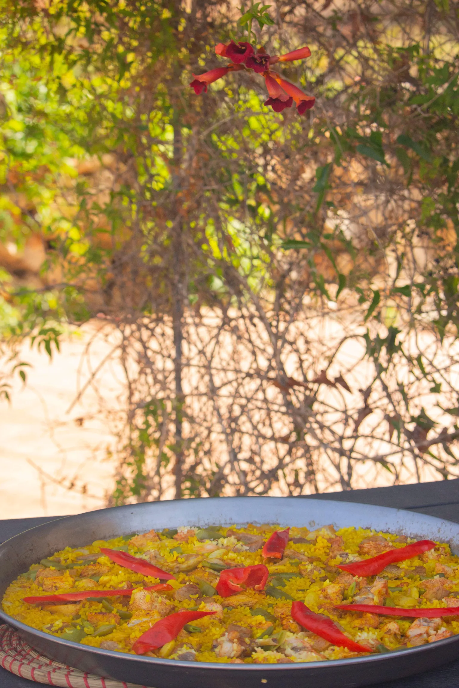 Imagen de Paella under the shade