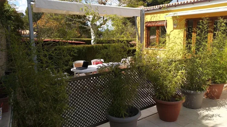 Imagen de Terraza Exterior 