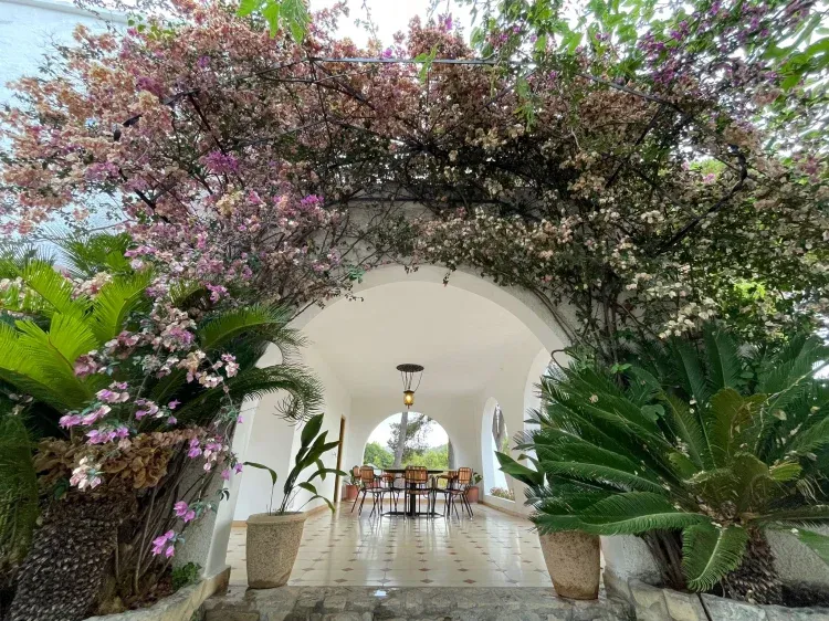 Imagen de Terraza
