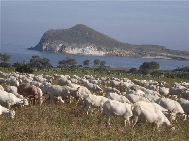 Imagen de playas Vírgenes