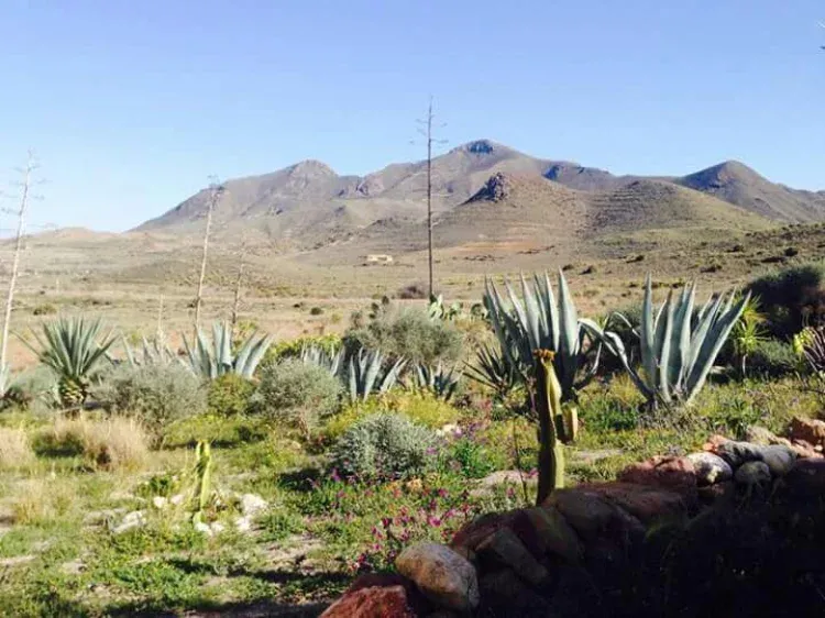 Imagen de Jardín 