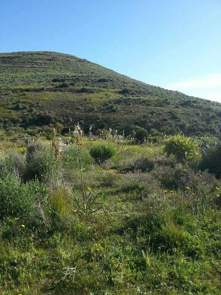 Imagen de Vistas