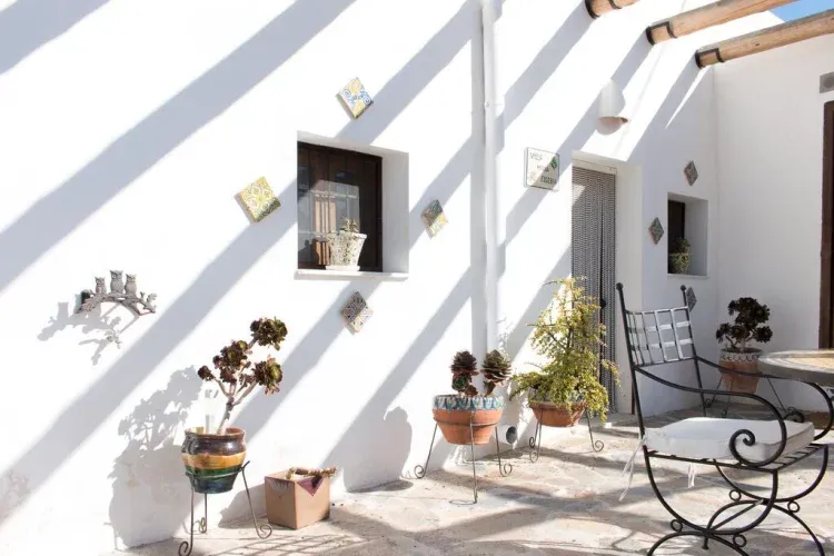 Imagen de Terraza