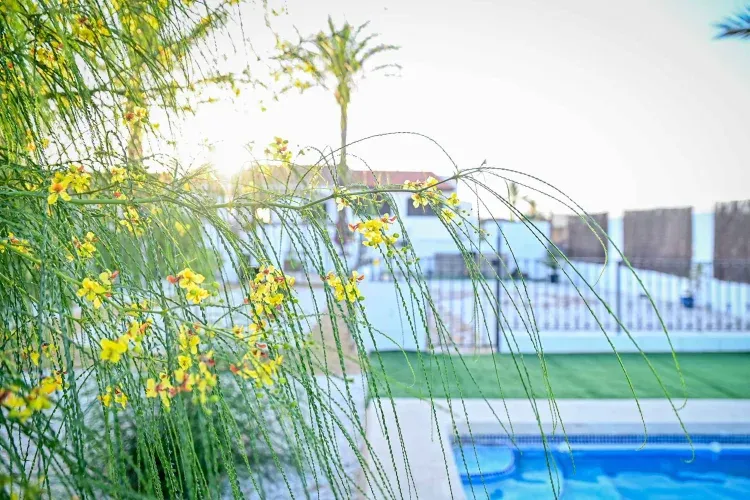 Imagen de Cortijo EnClave