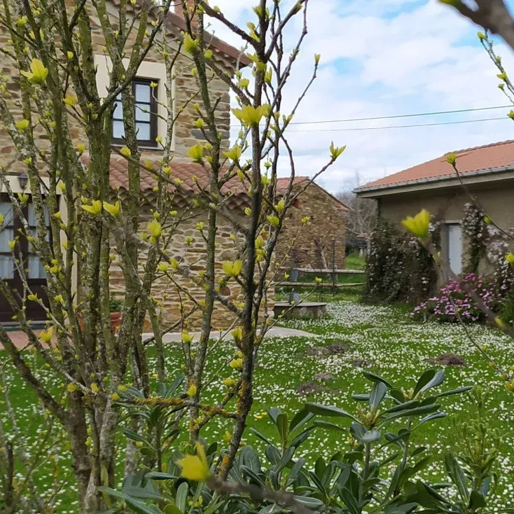 Imagen de Fachada jardín La casa del Campo