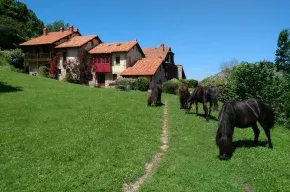 Imagen de La Montaña Mágica