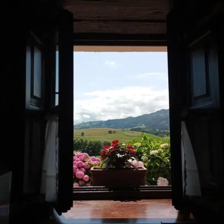 Imagen de Vistas desde el salón
