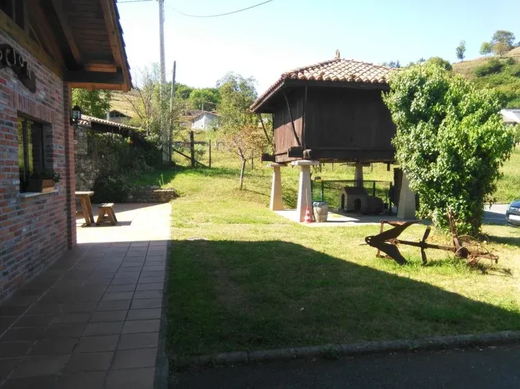 Imagen de Zona verde