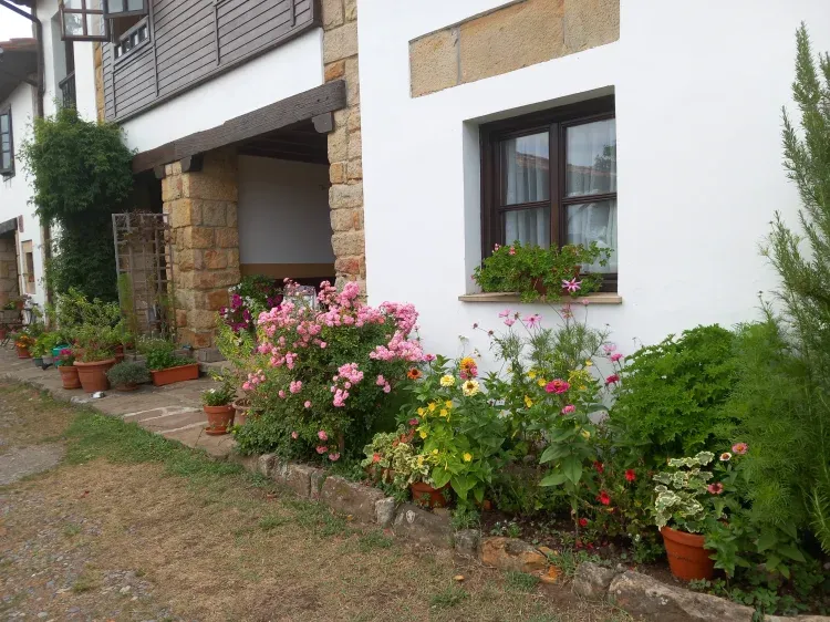 Imagen de Fachada. Casa Arboleya