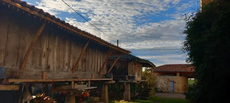 Imagen de Panera