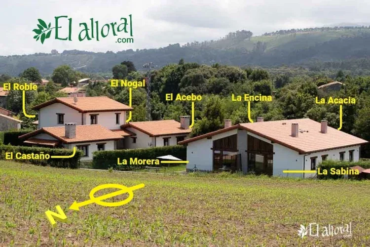Imagen de Las Casas