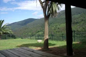 Imagen de La Javita