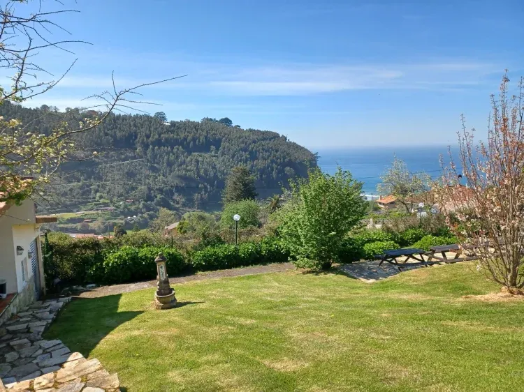 Imagen de Vista zona barbacoa
