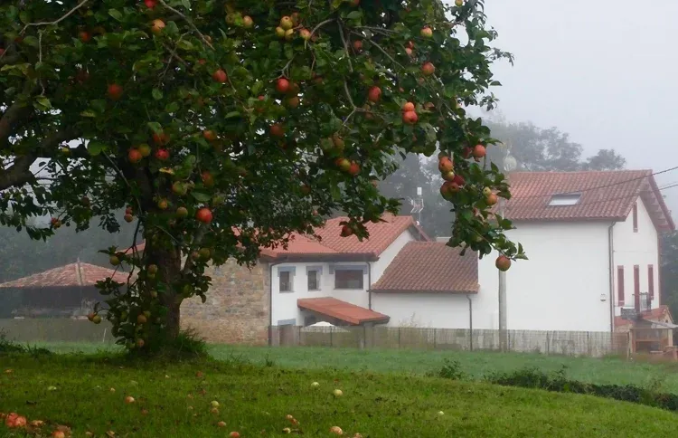 Imagen de La Llevanza desde el prao de Pepe.