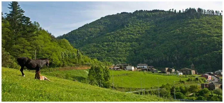 Imagen de Casas Rurales Teixois