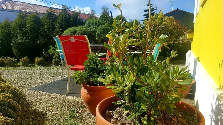 Imagen de Jardin