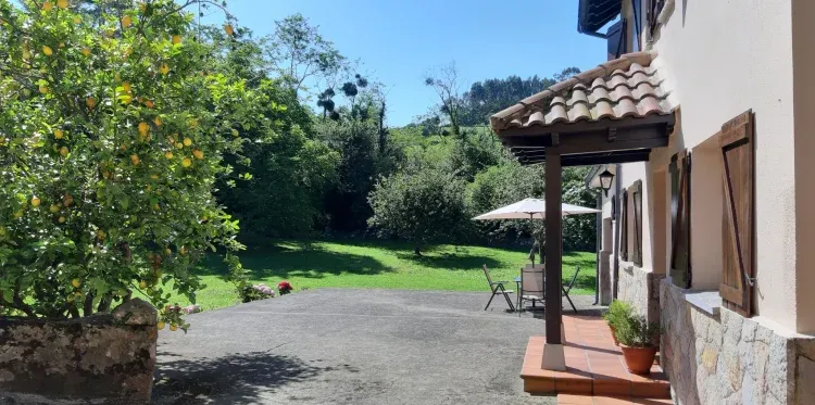 Imagen de JARDÍN