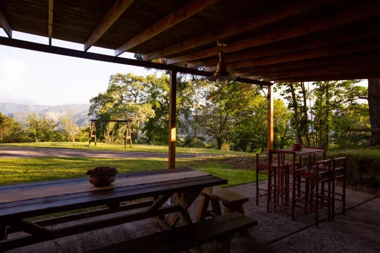 Imagen de barbacoa cubierta
