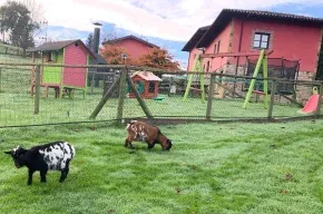 Imagen de Apartamentos La Quintana de Romillo