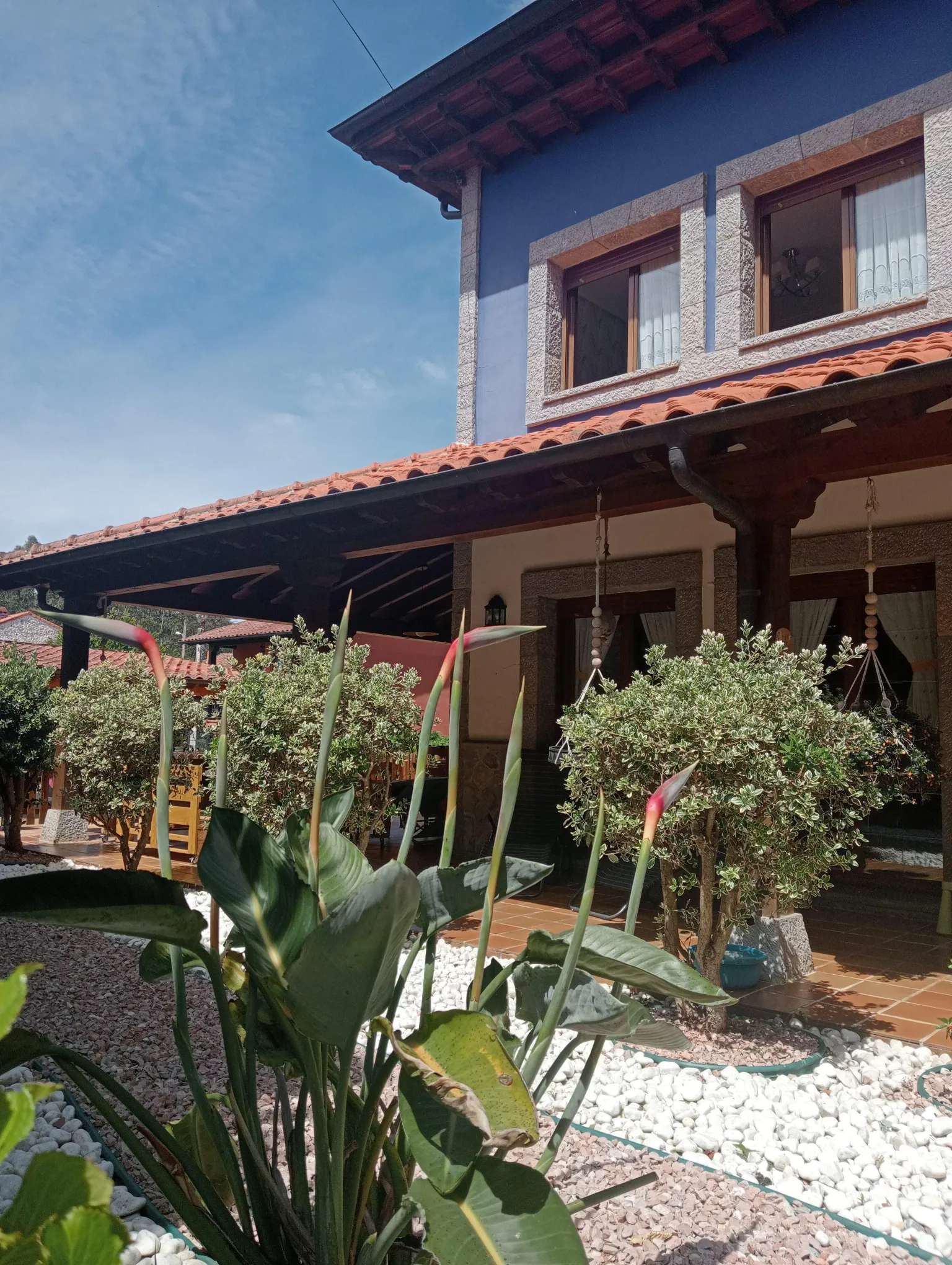 Imagen de Jardín
