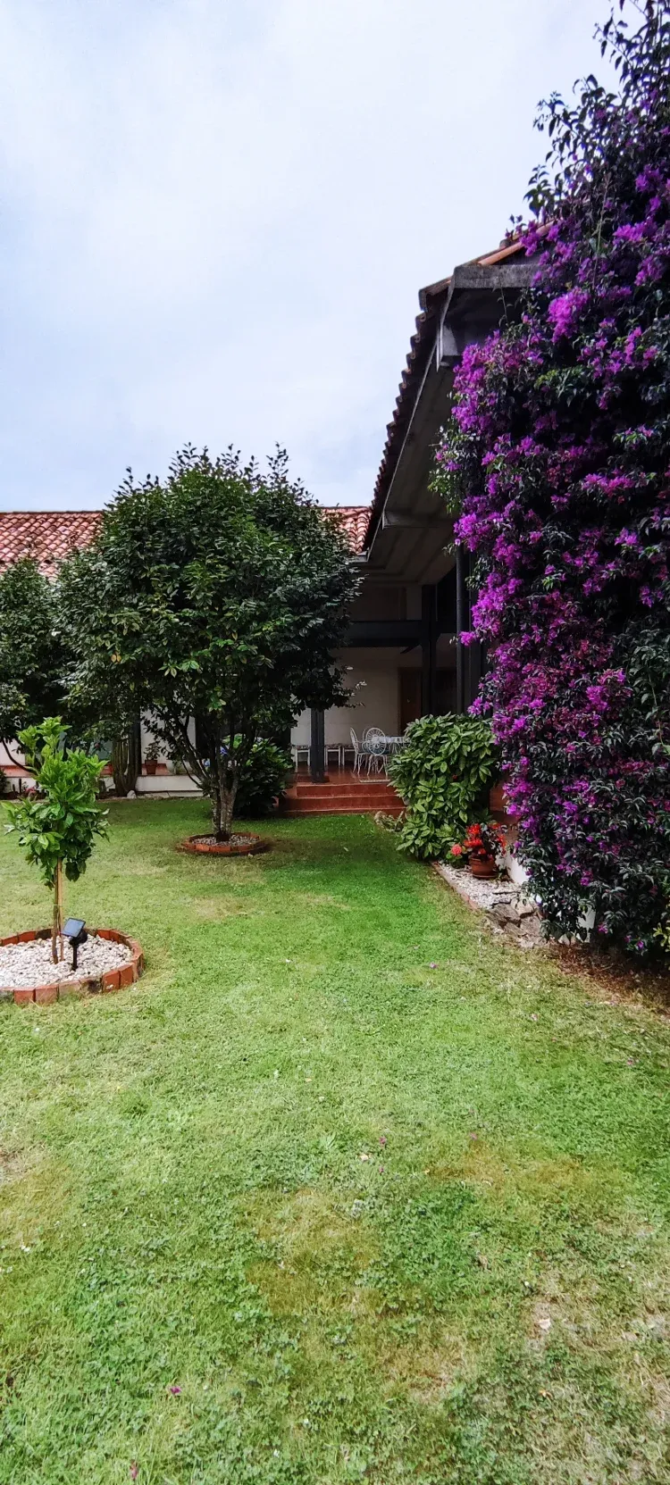Imagen de Jardin