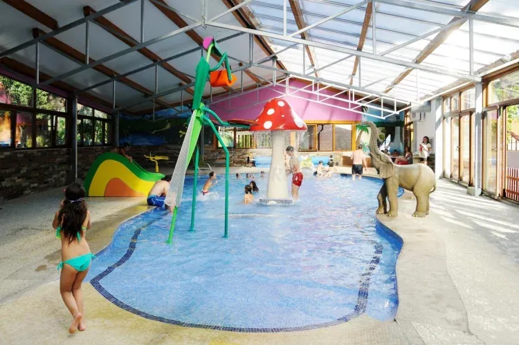 Imagen de Piscina climatizada de juegos y relax